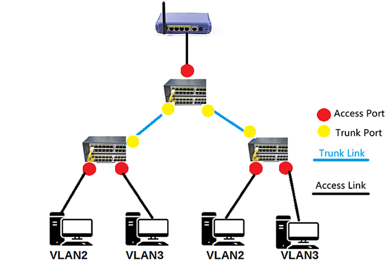 Access port and trunk port in the same network system