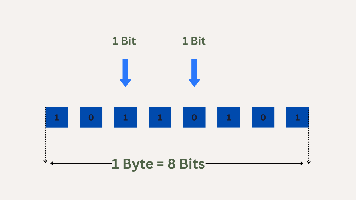 Bits vs Bytes