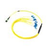 MPO Female to LC Fiber Breakout Cable, 8 Fiber 9/125 Singlemode OS2, Type B, LSZH