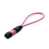 MPO Female 50/125 Multimode OM4 Fiber Optic Loopback Module