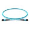 MT-MPO-MPO-12OM3-1M_fiber_patch_cable_main_web