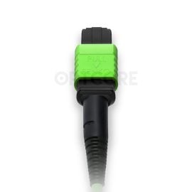 MT-MPO-MPO-12OM5-1M_fiber_patch_cable_back_connector_web