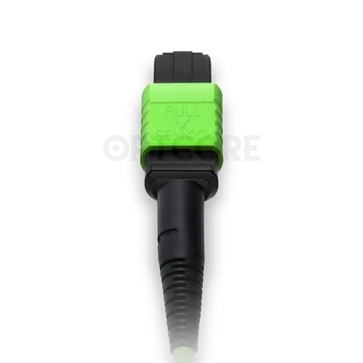 MT-MPO-MPO-12OM5-1M_fiber_patch_cable_back_connector_web