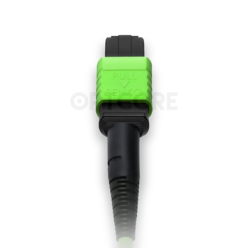 MT-MPO-MPO-12OM5-1M_fiber_patch_cable_back_connector_web