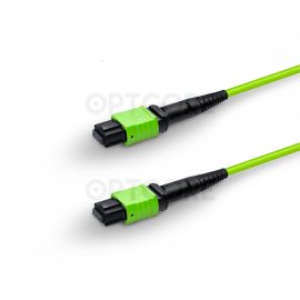 MT-MPO-MPO-12OM5-1M_fiber_patch_cable_connector_web