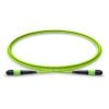 MT-MPO-MPO-12OM5-1M_fiber_patch_cable_main_web
