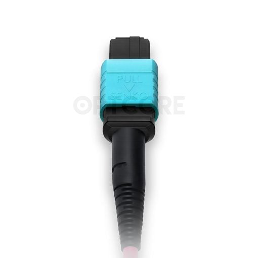 Multimode OM4 MPO-16 to MPO-16 APC Trunk Cable, 16 Fiber, Female, Type B, LSZH - Image 2