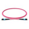 Multimode OM4 MPO-16 to MPO-16 APC Trunk Cable, 16 Fiber, Female, Type B, LSZH