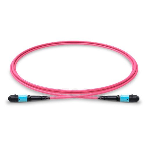 Multimode OM4 MPO-16 to MPO-16 APC Trunk Cable, 16 Fiber, Female, Type B, LSZH