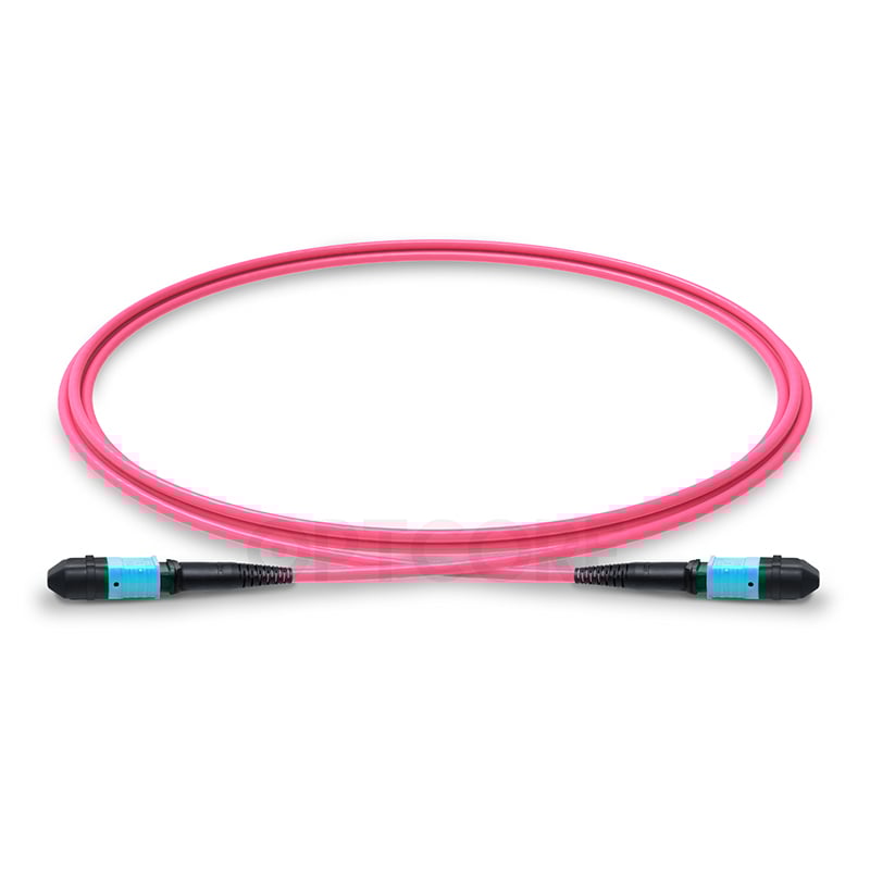 Multimode OM4 MPO-16 to MPO-16 APC Trunk Cable, 16 Fiber, Female, Type B, LSZH