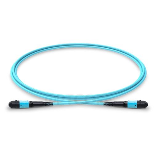 Multimode OM3 MPO-24 to MPO-24 Trunk Cable, 24 Fiber, Female, Type A, LSZH