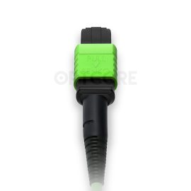 MT-MPO24-MPO24-24OM5-1M_back_connector_web