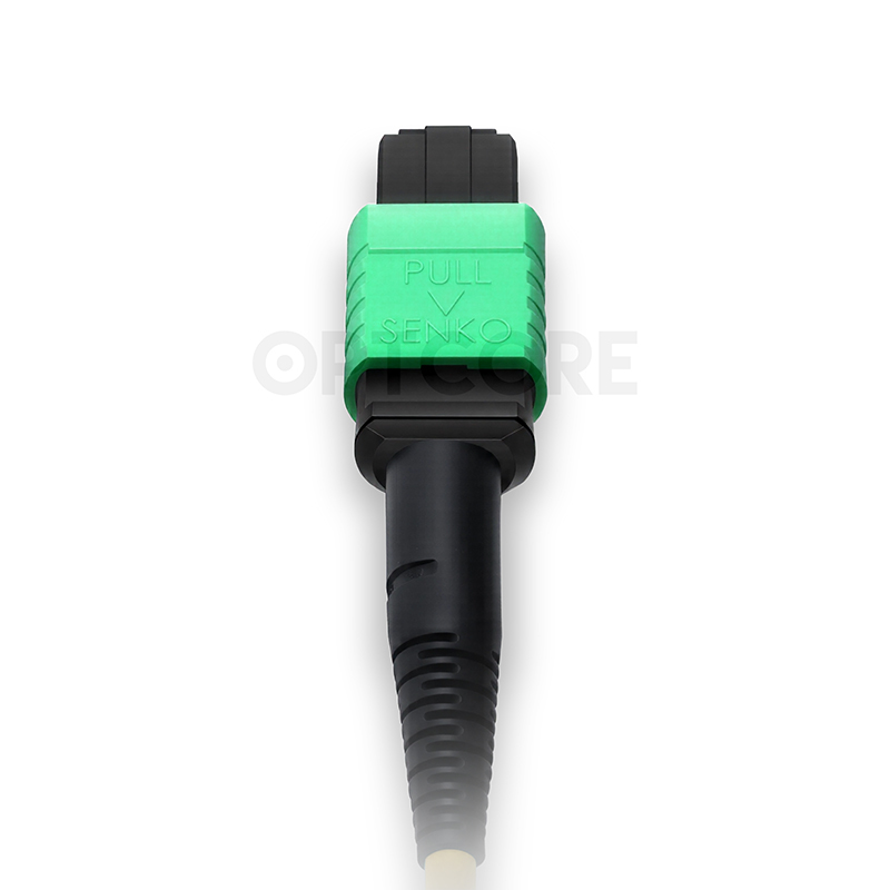 Single Mode OS2 MPO-24 to MPO-24 Trunk Cable, 24 Fiber, Female, Type B, LSZH - Image 2