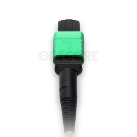 MT-MPOA-MPOA-12SM-1M_fiber_patch_cable_back_connector_web