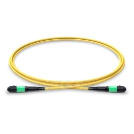 MT-MPOA-MPOA-12SM-1M_fiber_patch_cable_main_web