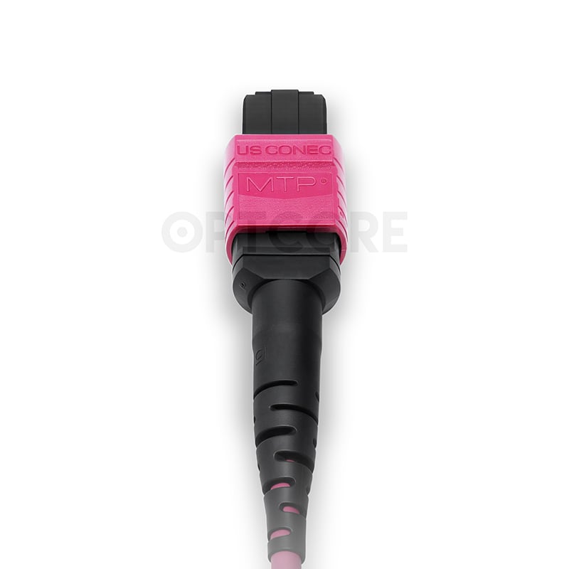 50/125 Multimode OM4 MTP Elite Trunk Cable, 12 Fiber, Female, Type B, LSZH - Image 2