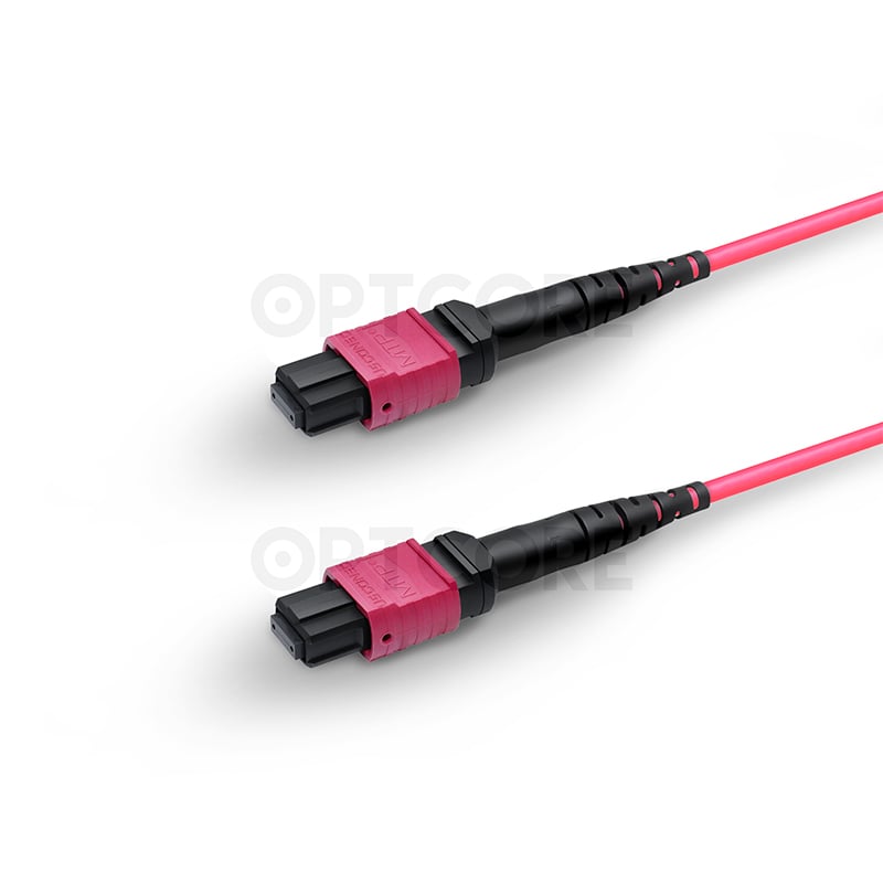 50/125 Multimode OM4 MTP Elite Trunk Cable, 12 Fiber, Female, Type B, LSZH - Image 4
