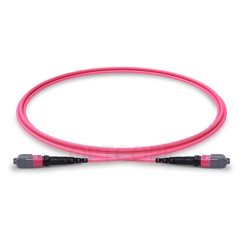 50/125 Multimode OM4 MTP Elite Trunk Cable, 12 Fiber, Female, Type B, LSZH