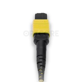 MT-MTP16A-MTP16A-16SM-1M_back_connector_web
