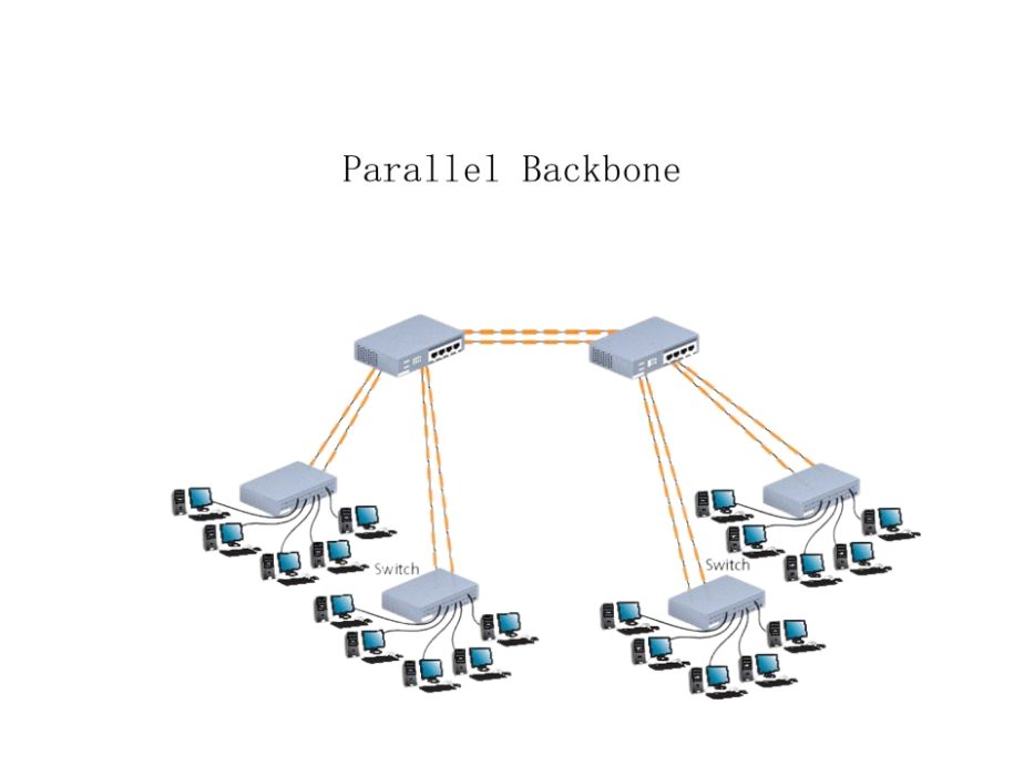 Picture 4 Parallel Backbone (Source from SlidePlayer)