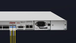 ciena_3930_compatibility_test_web
