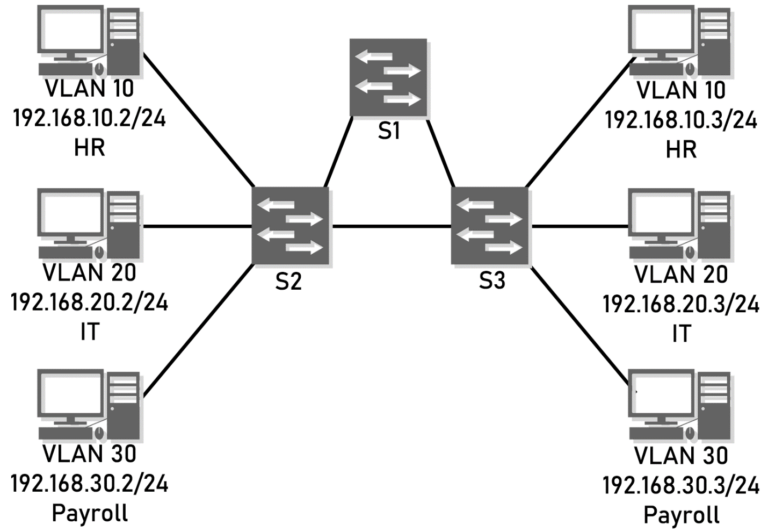 Topology